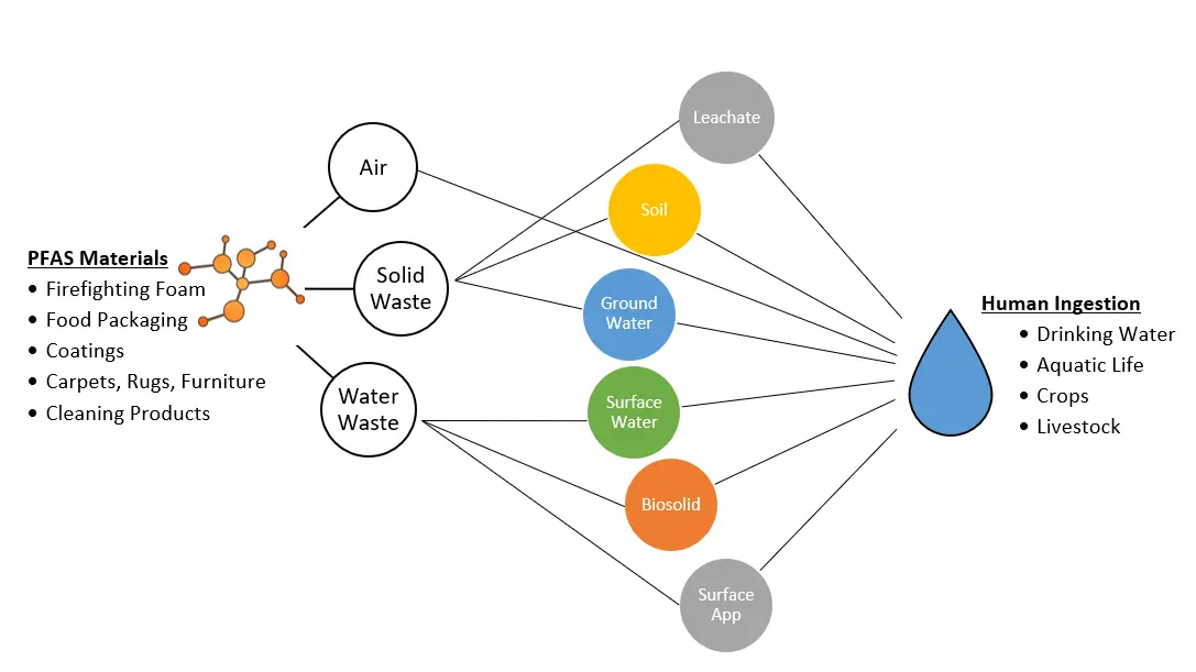 Illustration showing how PFAS is transferred from products to human ingestion 
