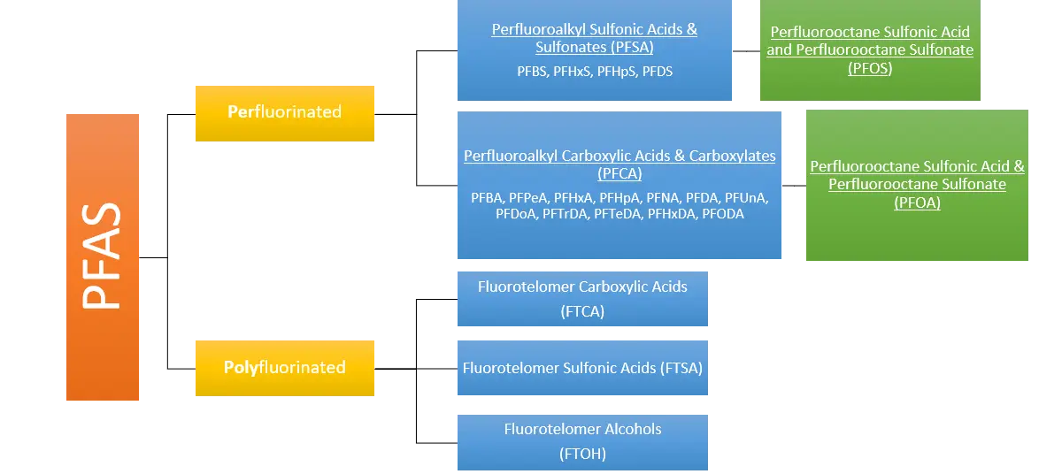 Illustration showing how PFAS is transferred from products to human ingestion 